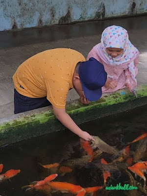 Nanyang Fish Farm Kulai