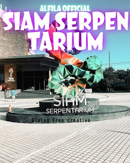 Siam Serpentarium Thailand - Review, Ticket Prices, Opening Hours, Locations And Activities [Latest]