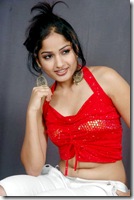 www.okgot.com