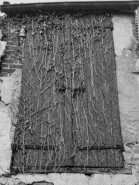 jiemve, le temps d'une pose, Goussainville, vieux village, urbex, abandon, maison abandonnée, volets, plantes