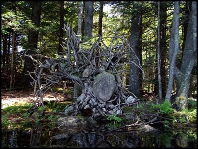 Megunticook Lake 053
