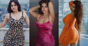 Bigg Boss contestant, Ayesha Khan, hot pics in body hugging dresses  flaunting her fine curves - see now.
