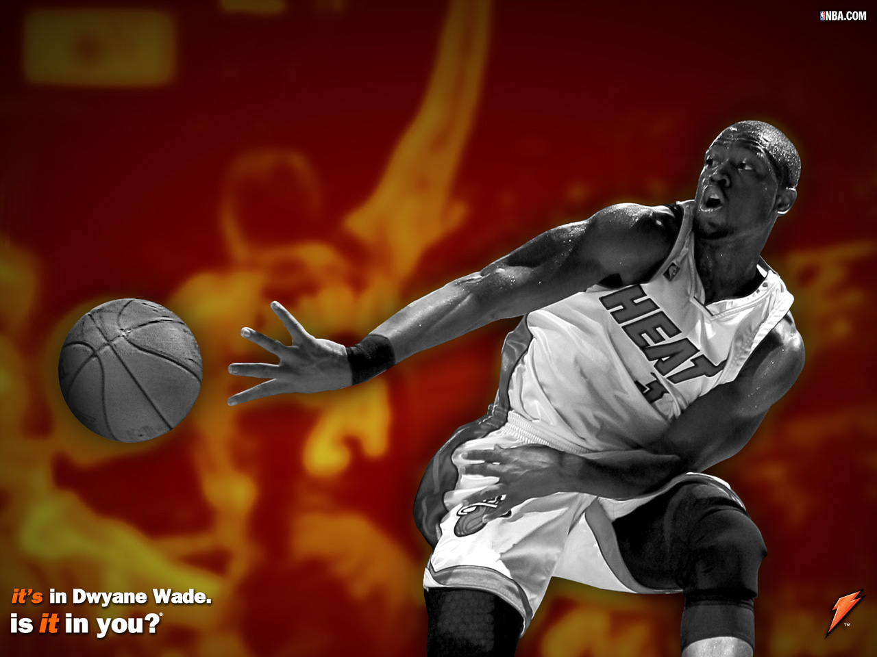 miami heat wallpaper miami heat wallpaper miami heat wallpaper miami