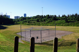 The baseball diamond is a great place for dogs to play.