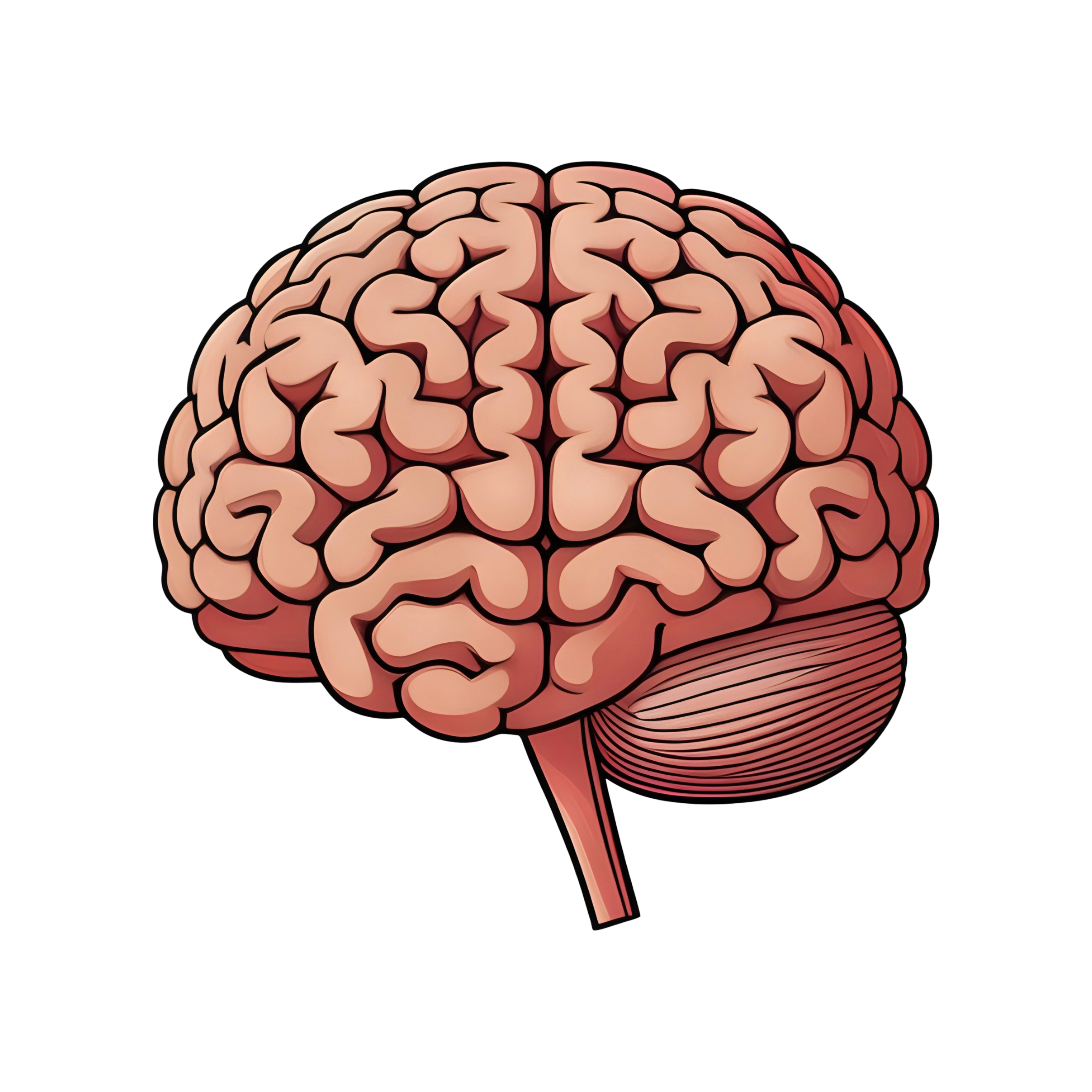 Human Brain graphic design