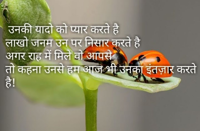 love shayari