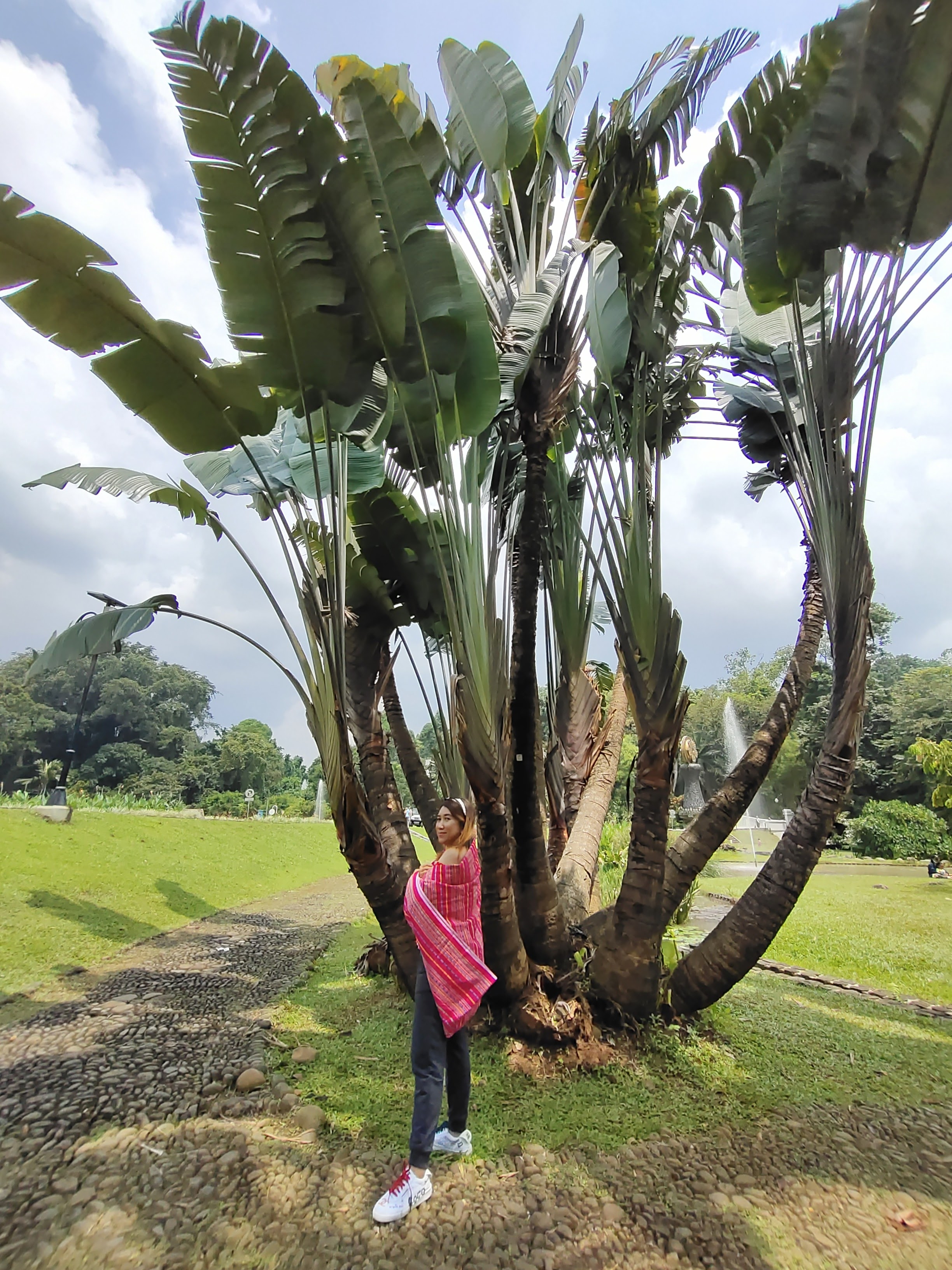 Kebun Raya Bogor Terkini