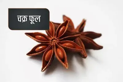 star anise - common in Indian spicemix in Hindi