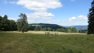 Unterwegs auf dem Montoz-Plateau