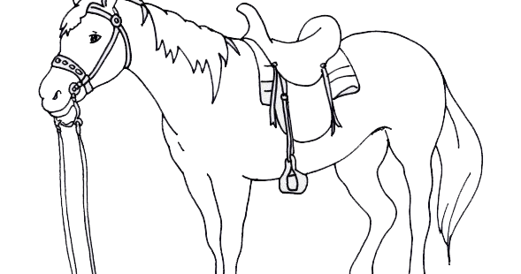  Gambar  Mewarnai Kuda Untuk Anak PAUD dan TK