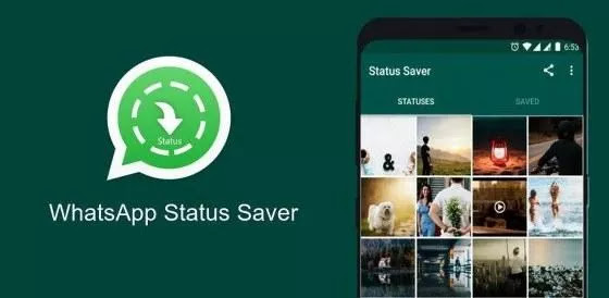 Status Downloader