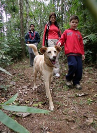 Patas 15 (225)