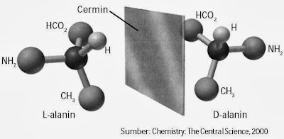 Alanin memiliki atom C kiral. Lalanin dan D-alanin pada cermin tampak sama, seperti tangan kiri dan tangan kanan yang berhadapan.