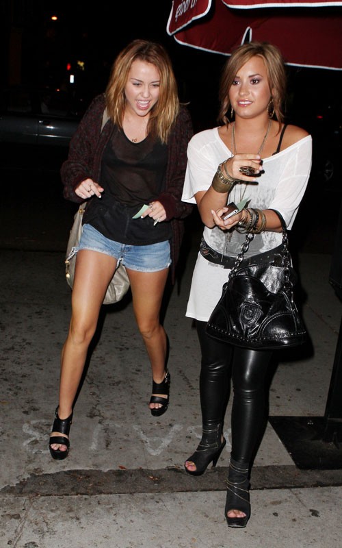 Miley Cyrus Demi Lovato Jerry's Deli Duo