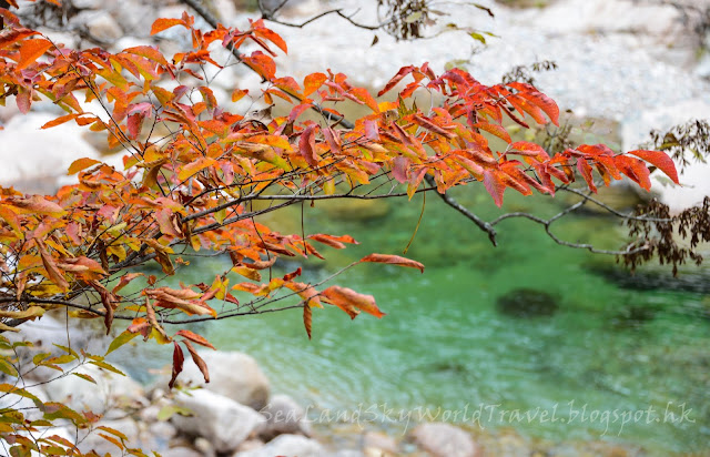 雪嶽山紅葉