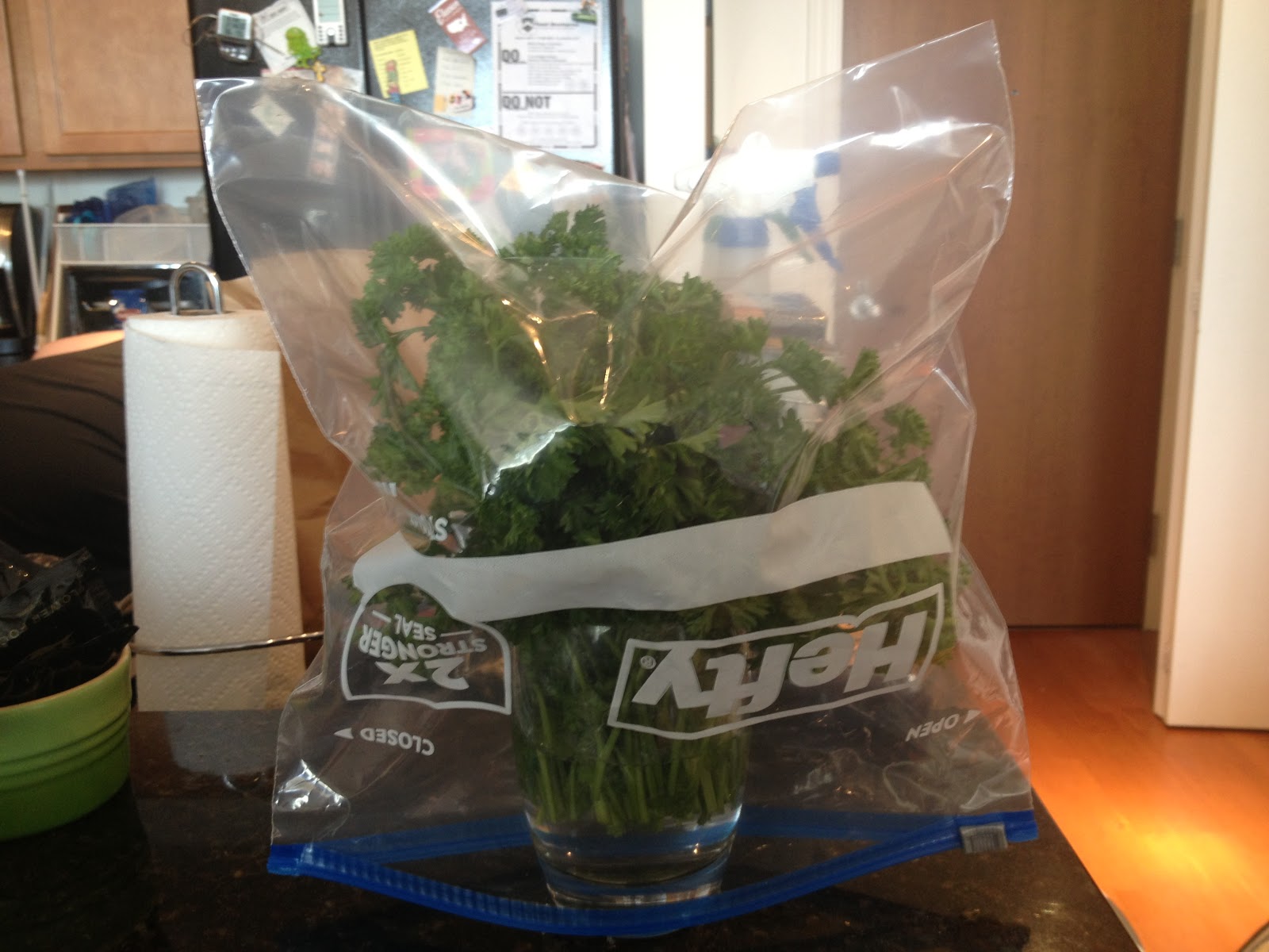 Mini Greenhouse for Freshly-Cut Store bought Parsley