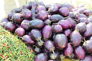 BRINJAL BENEFITS ( PART 1 )