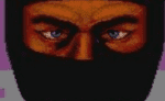Shinobi online web game