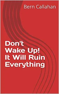 Don't Wake Up! It Will Ruin Everything - an essential book for mindfulness practice by Bern Callahan