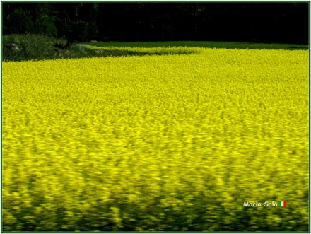 2D_PAR_VERSOUPPS_01 2D_PAR_VERSOUPPS_01