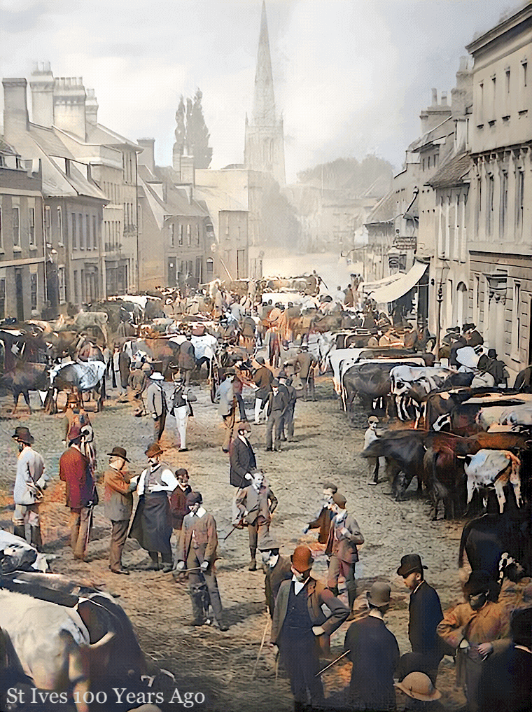 St Ives Bullock Market, early 1880s