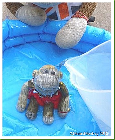 Swimming Monkey Swimming Monkey
