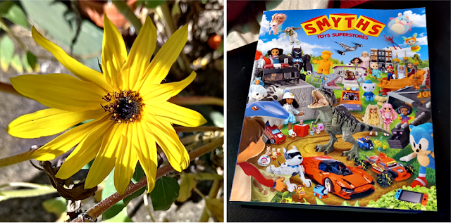 Sunflower and a toy catalogue