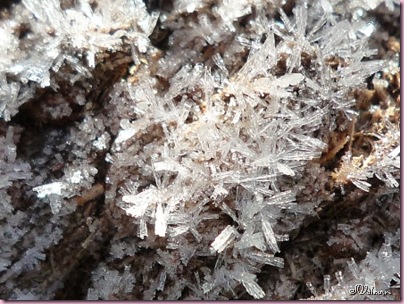 P1070838