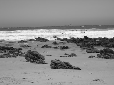 beach, South Africa, Port Elizabeth