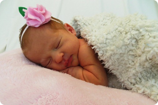 Liberty's Newborn Portraits