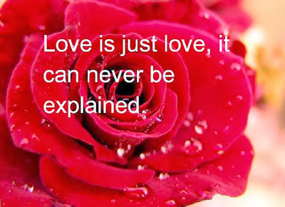 happy valentines day tumblr quotes