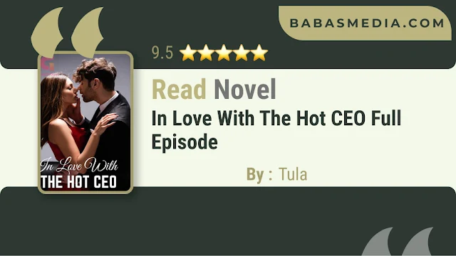 Cover In Love With The Hot CEO Novel By Tula