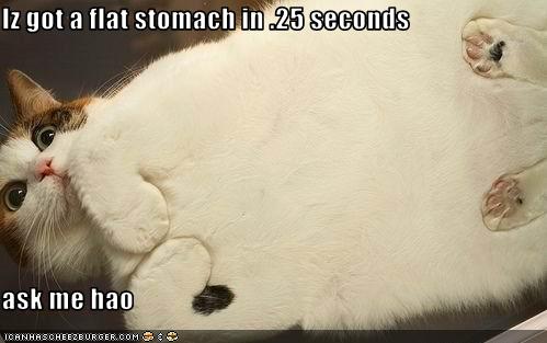 funny-pictures-cat-has-a-flat-stomach.jpg