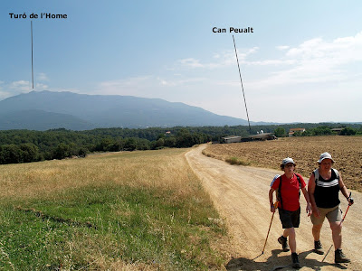 El Montseny des dels camps de Can Peualt