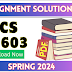 CS603 Assignment Solution 1 Spring 2024 - Download PDF