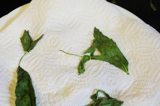 Mint 3