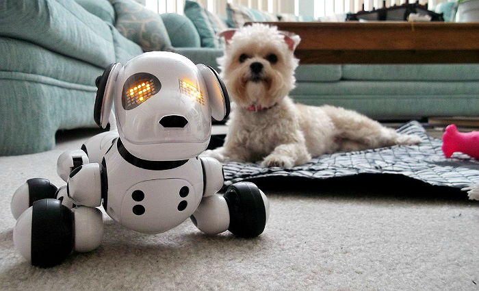 Zoomer the Robotic Dog