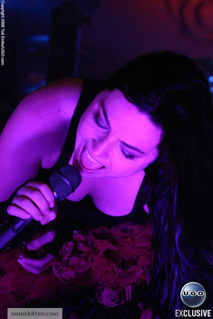 Amy Lee boobs and cleavage pictures