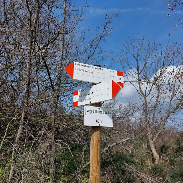 sentiero monte cecilia