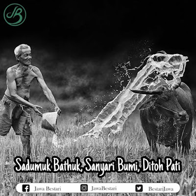 Sadumuk Bathuk, Sanyari Bumi, Ditoh Pati