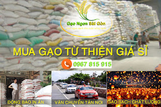 Mua gạo từ thiện ngon rẻ chất lượng tại đây