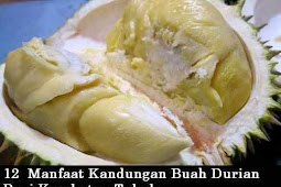 12 Manfaat Kandungan Buah Durian, Serta Bahayanya Konsumsi Berlebihan