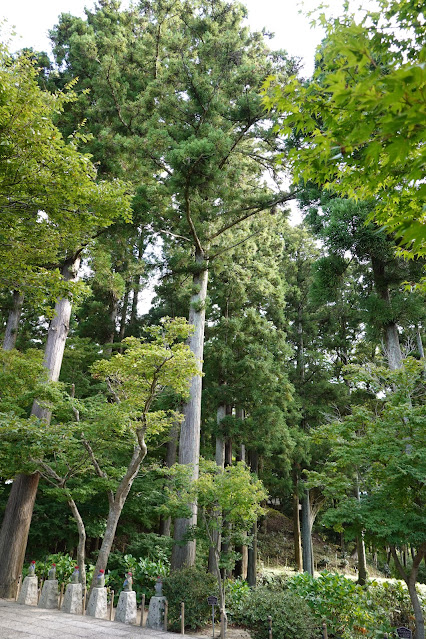 島根県出雲市小境町　一畑薬師