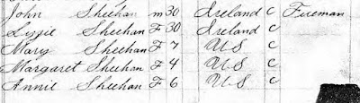 John and Lizzie Sheehan 1892 Brooklyn, NY census https://jollettetc.blogspot.com