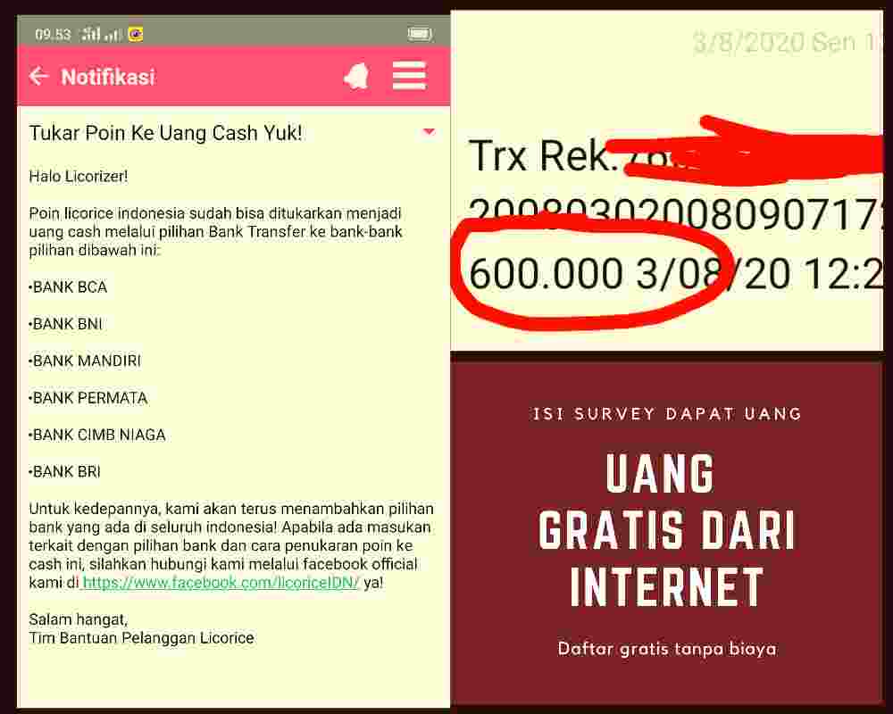 Rahasia Cepat Dapat Uang Dari Internet Langsung Ke Rekening