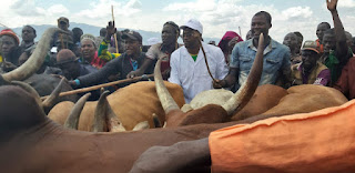 Waziri  Luhaga Mpina azindua Kampeni ya Kitaifa ya uogeshaji wa Mifugo Nchini.