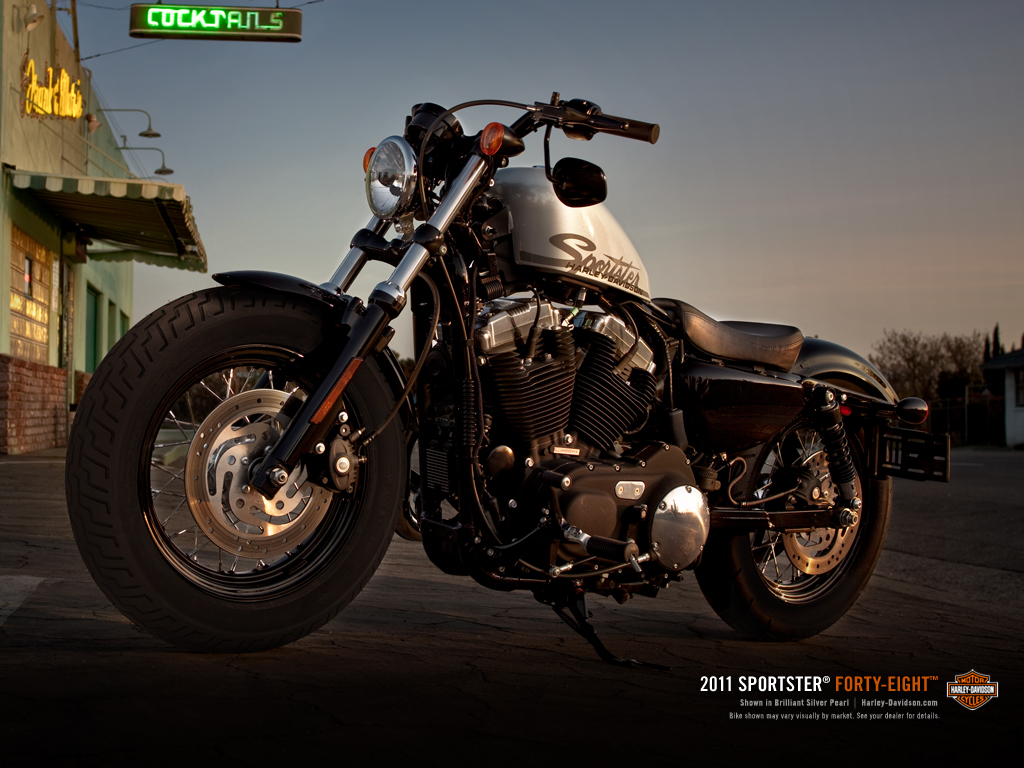 iron 883 fat front tire Harley Davidson Trip