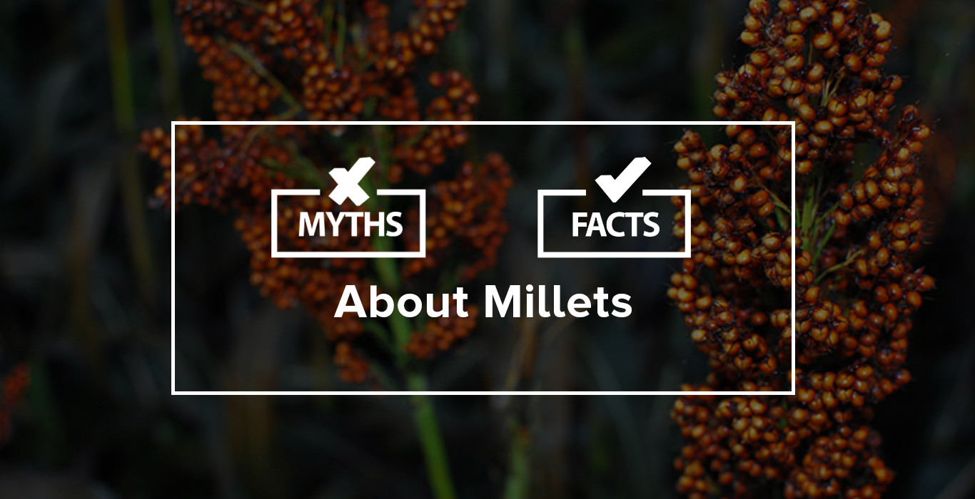 5 myth and facts about millets