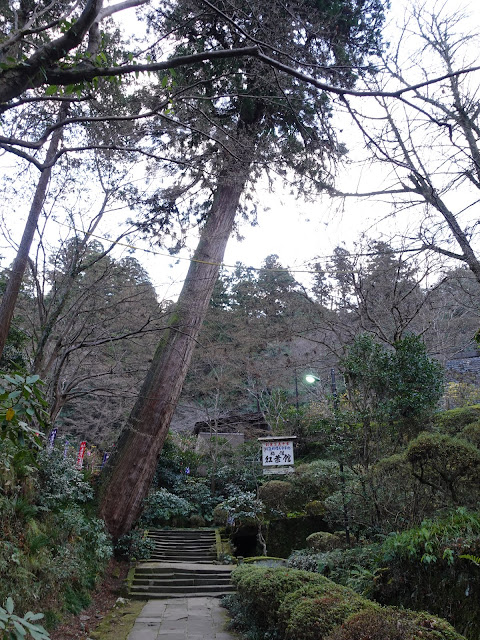 島根県安来市清水町　安来清水寺の紅葉館