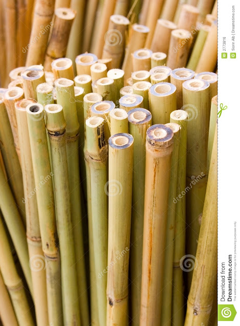 Bamboo Sticks6